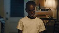 Moonlight (2016) | Image Source: A24